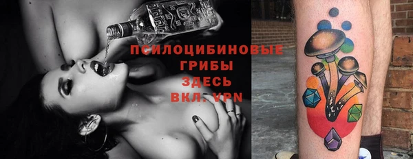 винт Новокубанск