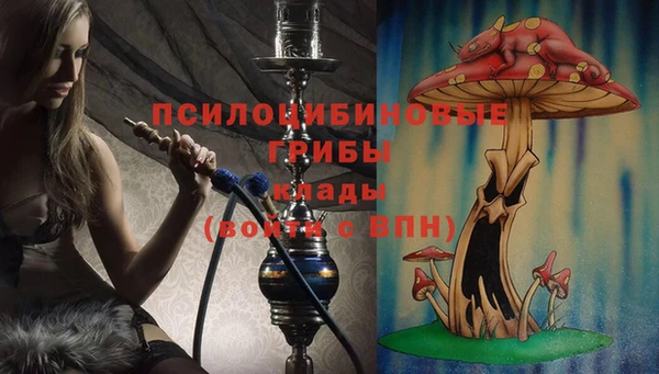 винт Новокубанск
