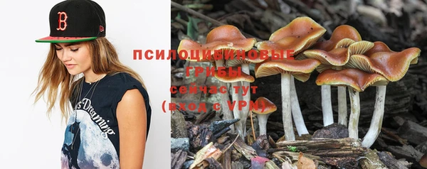 мефедрон мука Новодвинск