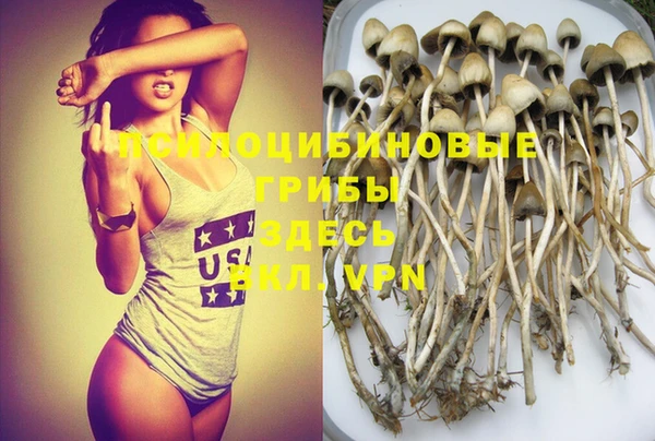 марки nbome Новозыбков
